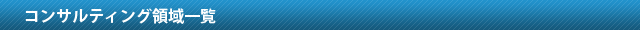 コンサルティング領域一覧
