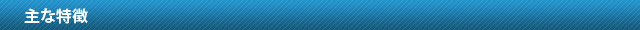主な特徴