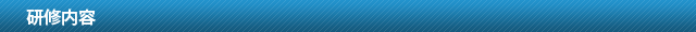 研修内容